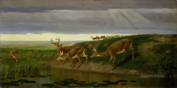  ciervos Arte - Ciervos en la pradera William Holbrook Beard